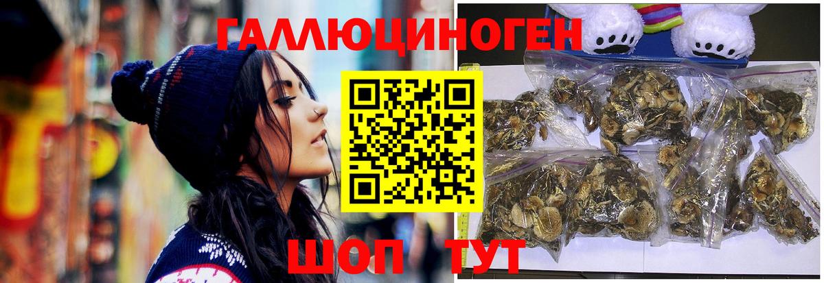 Псилоцибиновые грибы Psilocybe Нижнекамск